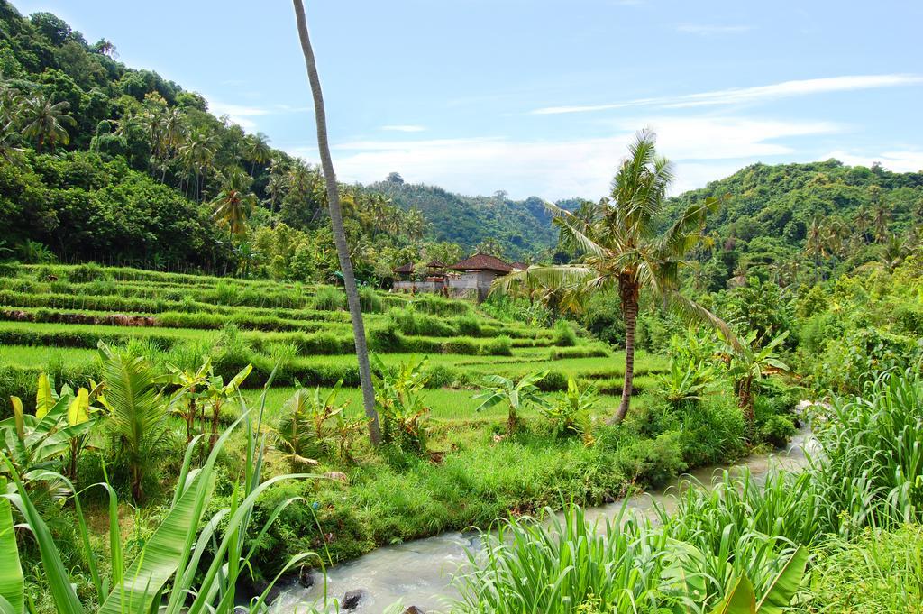 Indo Rumah Zengarden Villa Pabean Buleleng Eksteriør billede